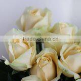 Export Quality Fresh Cut Rose Flowers From Plants Base thumbnail-1