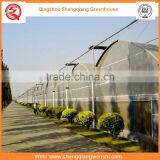 High Quality 8.0m Multi-span Agriculture Plastic Greenhouse for Sale thumbnail-4