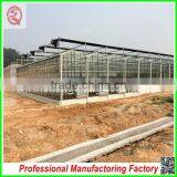 Commercial/agricultural Large Span Glass Green House for Strawberry/tomatoes thumbnail-6