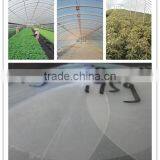 Good Promotion Tunnel Greenhouse Film for Vegetables and Flowers thumbnail-1