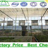 Greenhouse Fan thumbnail-6