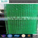 2017 Fish Trap and Chicken Coop Hexagonal Wire Mesh for Farms