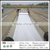 [ Factory Supply ] S / SS Spunbond Agriculture Nonwoven Cover Fabric for Ground Cover / Plant Cover thumbnail-1