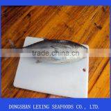 Frozen Tuna Price thumbnail-1