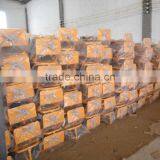 120 Kg Australia Hand Pull Trolley (678020) thumbnail-5