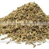 Fennel Seed Whole thumbnail-1