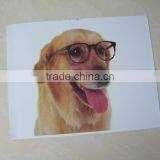 Fabric Heat Transfer Paper thumbnail-1