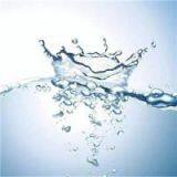 Portable Service Flowchart thumbnail-1