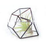 terrarium glass geometric terrarium plants for house decoration
