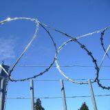 Shijiazhuang Geye Trading Co., Ltd company overview - view 1 thumbnail