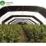 Easily Installed Galvanized Steel Frame Fully Automated Light Deprivation Greenhouse thumbnail-2