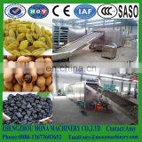 Wood Pellet Mesh Belt Dryer Machine /food Drying Machine/mesh-belt Dehydration Machine With Electric thumbnail-5