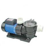 Hot Selling Swimming Pool Powerful Pump