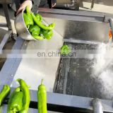 For Industrial Water Vegetable Fruit Washer, 100KG