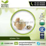 Senna Leaf Tea for Weight Loss Available From Trusted Supplying Company thumbnail-1