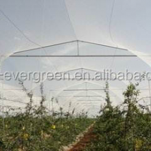 EGP HDPE white large hail protection net for apple tree agriculture