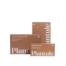 Wholesale Recycled Luxury Corrugated Mailer Box Custom For Overcoat