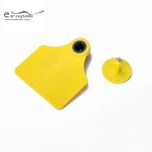 Paddle RFID FDX-B Available Ear Tag for Cattle Middle Size for Livestock Tracking thumbnail-1