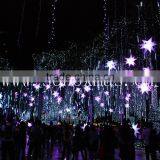 Hanging Rope Decoration Star Art From Munufacturer thumbnail-1