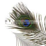 Feather Headpiece With Peacock Feather thumbnail-3