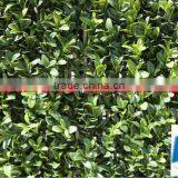 Wholesale Home Decoration Artificial Fence Wall thumbnail-3