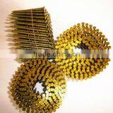 Hot Sale Screw Shank Wire Coil Nails Factory thumbnail-1