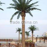 2015 Artificial 3-30m Indoor or Outdoor Canary Date Palm Tree,artificial Tree,artificial Plant