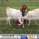 Hot Sale Canada Sheep Fence( OEM&ODM )