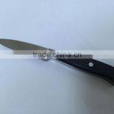 High Quality Stainless Steel Paring Knife With POM Handle thumbnail-1
