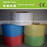 PP Plastic Strap Making Machine/Plastic Strap Extruder Machine Supplier thumbnail-6