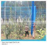 Anti-Bird Net thumbnail-3