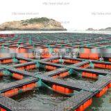 HDPE tilapia farming fish cage floating