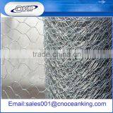 Supply Poultry Netting / Hexagonal Fence Netting From Top Factory thumbnail-3