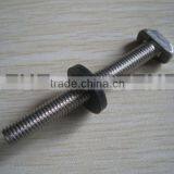 China thin step T bolt with EDPM washer