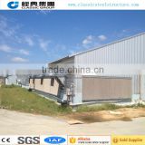 Professional automatical control poultry for egg chicken shed