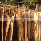 Viet Nam Suppliers 1.5 - 2.0 mm Eucalyptus Veneer thumbnail-4