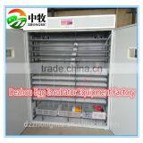 Factory Supply 5280 Poultry Incubator Machine/egg Incubator Price/egg Hatching Machine Price thumbnail-2