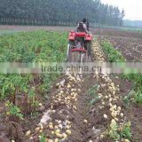 walking tractor mini single potato harvester