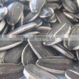 Hulled Sunflower Seeds 5009 With Good Quality thumbnail-6