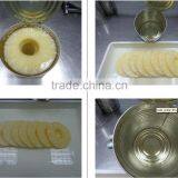Standard Grade Canned Pineapple Slices in Ligh Syrup From Thailand thumbnail-3