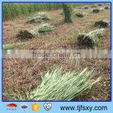 High Quality Reaper Binder thumbnail-6