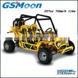 250cc Water Cooling EEC/EPA Sand Beach Buggy thumbnail-3