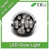 24W 36w 45w 54w LED Grow Light w/ Red & Blue LED Spectrum for Indoor Plant Growing thumbnail-3