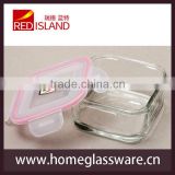 tempered square glass bowl with plastic lid