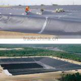 High Tearing Resistance Geomembrane Production thumbnail-2