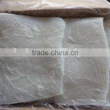 Frozen Illex Squid Fillet