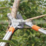 BD-LS302 SK-5 Blade,aluminium Telescopic Handle Hedge Shear thumbnail-4