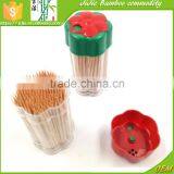 Bamboo Toothpicks in Flowers Bottle for Barbecue Party thumbnail-1