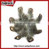 Lower Price Natural Synthetic Pheasant Feathers for Carnival Costumes thumbnail-5