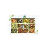 Pet Food Machine thumbnail-1